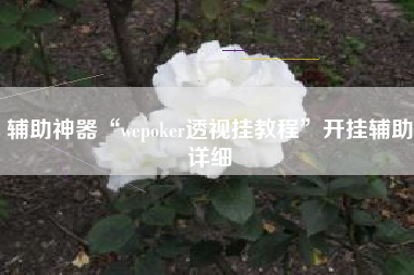 辅助神器“wepoker透视挂教程	”开挂辅助详细