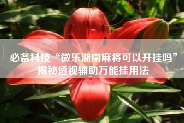 必备科技“微乐湖南麻将可以开挂吗	”揭秘透视辅助万能挂用法