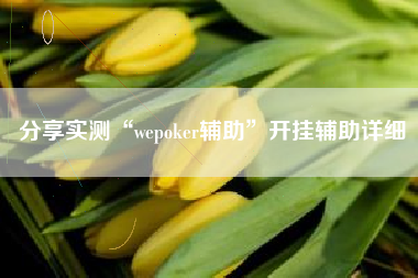 分享实测“wepoker辅助	”开挂辅助详细