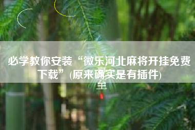 必学教你安装“微乐河北麻将开挂免费下载”(原来确实是有插件)