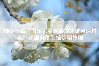 推荐一款“微乐家乡麻将挂先试用后付款”详细分享装挂步骤教程