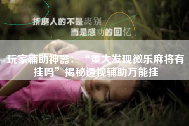 玩家辅助神器：“重大发现微乐麻将有挂吗”揭秘透视辅助万能挂