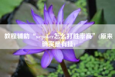 教程辅助“wepoker怎么打胜率高	”(原来确实是有挂)