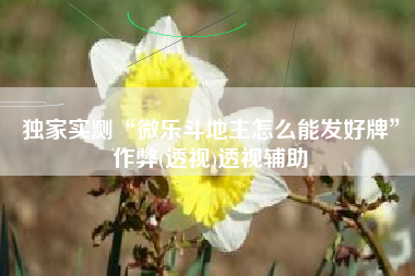 独家实测“微乐斗地主怎么能发好牌”作弊(透视)透视辅助