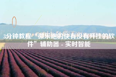 3分钟教程“微乐跑的快有没有开挂的软件”辅助器 - 实时智能