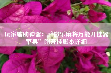 玩家辅助神器：“微乐麻将万能开挂器苹果	”附开挂脚本详细
