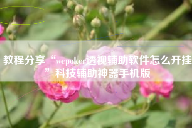 教程分享“wepoker透视辅助软件怎么开挂”科技辅助神器手机版