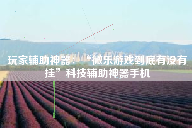 玩家辅助神器：“微乐游戏到底有没有挂”科技辅助神器手机
