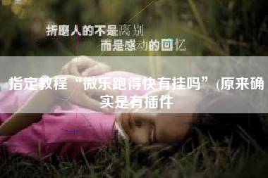 指定教程“微乐跑得快有挂吗”(原来确实是有插件