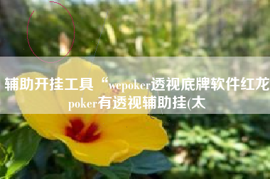 辅助开挂工具“wepoker透视底牌软件红龙poker有透视辅助挂(太