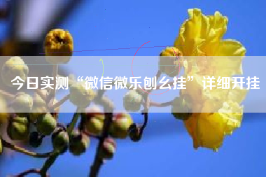 今日实测“微信微乐刨幺挂	”详细开挂