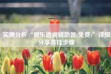 实测分析“微乐透视辅助器(免费)”详细分享装挂步骤