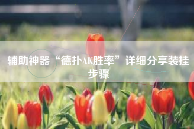 辅助神器“德扑AK胜率	”详细分享装挂步骤