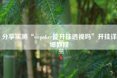 分享实测“wepoker能开挂透视吗”开挂详细教程