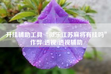 开挂辅助工具“微乐江苏麻将有挂吗	”作弊(透视)透视辅助