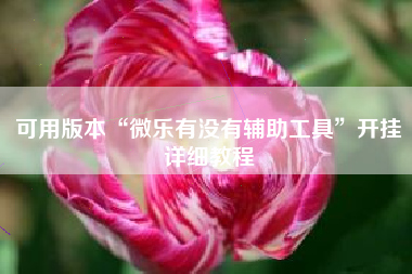 可用版本“微乐有没有辅助工具	”开挂详细教程