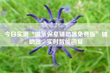 今日实测“微乐保皇辅助器免费版”辅助器 - 实时智能回复