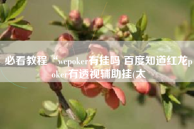 必看教程“wepoker有挂吗 百度知道红龙poker有透视辅助挂(太