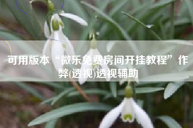 可用版本“微乐免费房间开挂教程	”作弊(透视)透视辅助