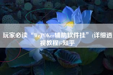 玩家必读“WePOKer辅助软件挂	”(详细透视教程)-知乎