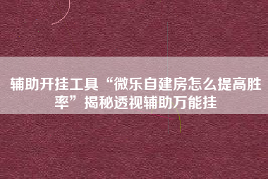 辅助开挂工具“微乐自建房怎么提高胜率	”揭秘透视辅助万能挂