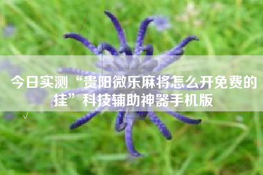 今日实测“贵阳微乐麻将怎么开免费的挂”科技辅助神器手机版