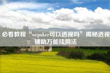 必看教程“wepoker可以透视吗”揭秘透视辅助万能挂用法