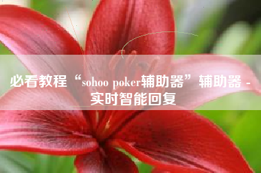 必看教程“sohoo poker辅助器	”辅助器 - 实时智能回复