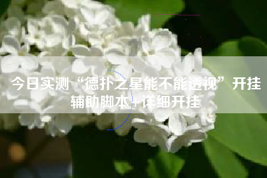 今日实测“德扑之星能不能透视”开挂辅助脚本+详细开挂