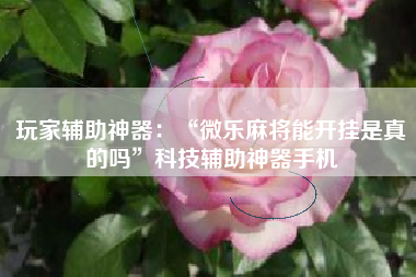 玩家辅助神器:“微乐麻将能开挂是真的吗”科技辅助神器手机 玩家辅助神器:“微乐麻将能开挂是真的吗”科技辅助神器手机