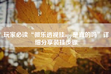 玩家必读“微乐透视挂app是真的吗	”详细分享装挂步骤