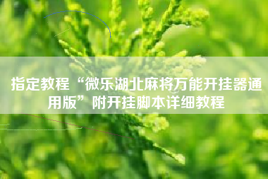 指定教程“微乐湖北麻将万能开挂器通用版	”附开挂脚本详细教程