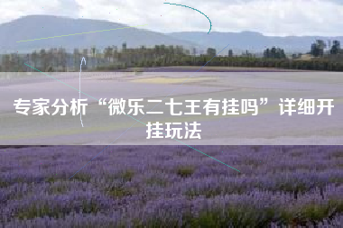 专家分析“微乐二七王有挂吗	”详细开挂玩法