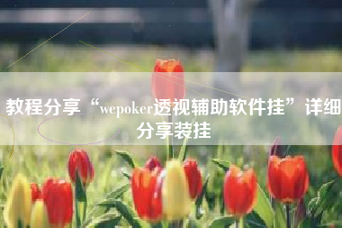 教程分享“wepoker透视辅助软件挂	”详细分享装挂
