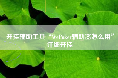开挂辅助工具“WePoker辅助器怎么用”详细开挂
