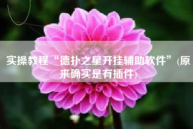 实操教程“德扑之星开挂辅助软件	”(原来确实是有插件)