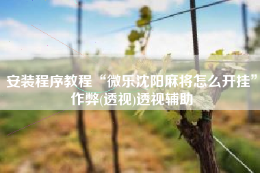 安装程序教程“微乐沈阳麻将怎么开挂	”作弊(透视)透视辅助