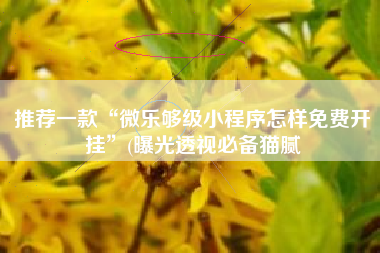 推荐一款“微乐够级小程序怎样免费开挂”(曝光透视必备猫腻