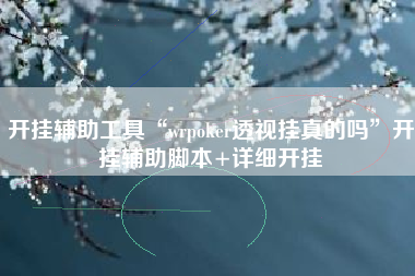 开挂辅助工具“wrpoker透视挂真的吗”开挂辅助脚本+详细开挂