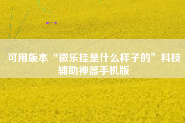 可用版本“微乐挂是什么样子的	”科技辅助神器手机版