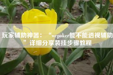 玩家辅助神器：“wepoker能不能透视辅助”详细分享装挂步骤教程