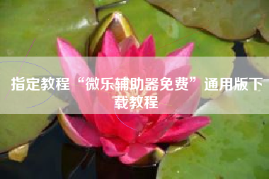 指定教程“微乐辅助器免费”通用版下载教程