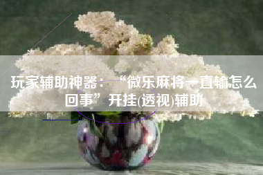 玩家辅助神器：“微乐麻将一直输怎么回事”开挂(透视)辅助
