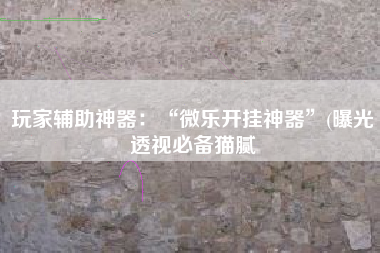 玩家辅助神器：“微乐开挂神器”(曝光透视必备猫腻