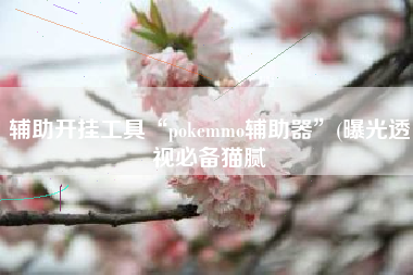 辅助开挂工具“pokemmo辅助器”(曝光透视必备猫腻