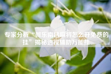 专家分析“微乐南昌麻将怎么开免费的挂”揭秘透视辅助万能挂