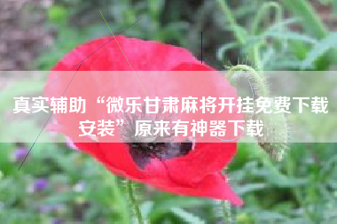 真实辅助“微乐甘肃麻将开挂免费下载安装”原来有神器下载