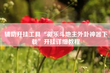 辅助开挂工具“微乐斗地主外卦神器下载”开挂详细教程