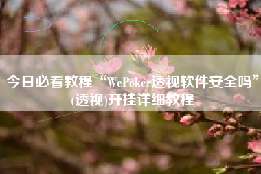 今日必看教程“WePoker透视软件安全吗”(透视)开挂详细教程