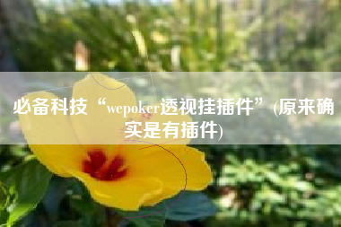 必备科技“wepoker透视挂插件”(原来确实是有插件)